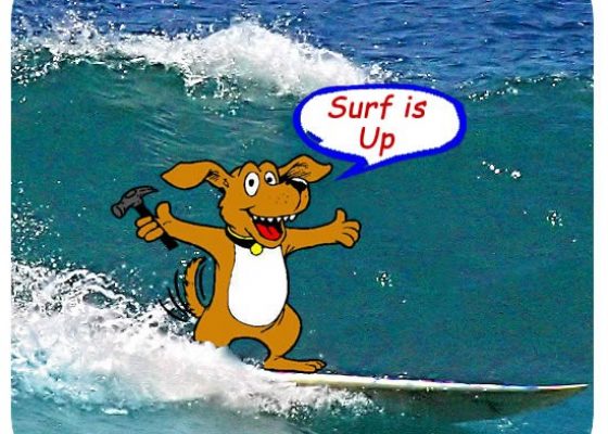 dog_surf-550×450