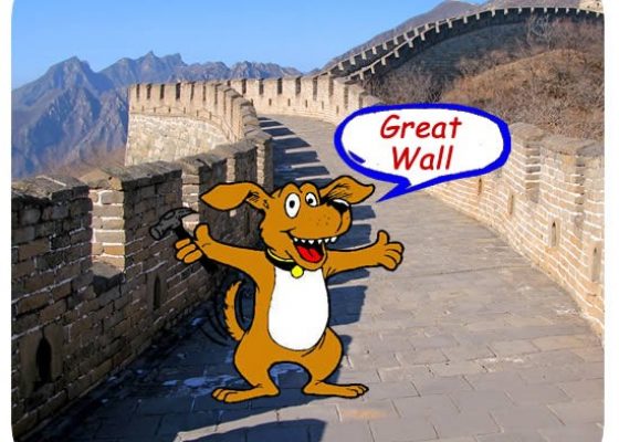 dog_wall-550×450