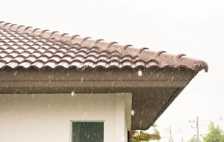 Hail Damage